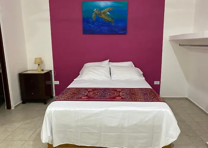 Tortugas Casa rural Akumal