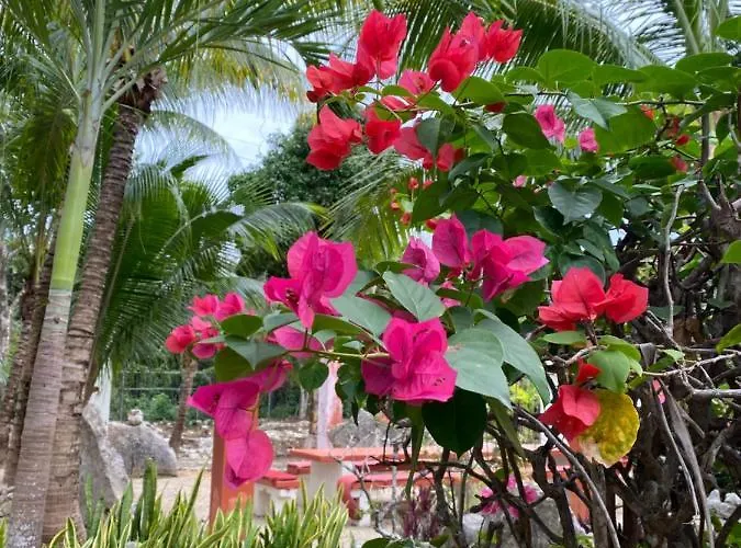 Casa rural Tortugas