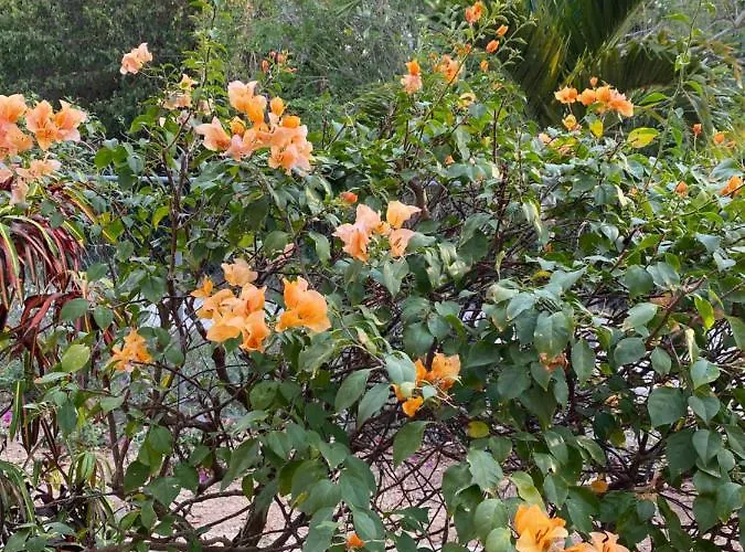Casa rural Tortugas