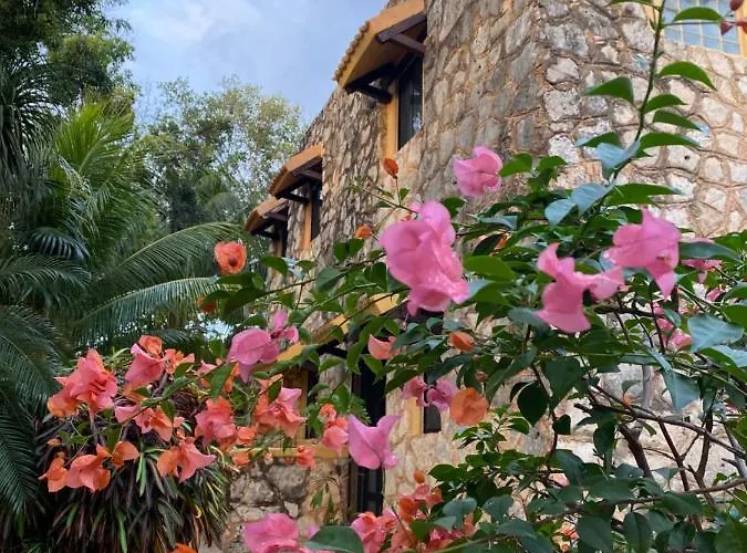 Casa rural Tortugas