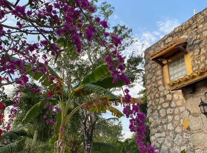 Tortugas Casa rural Akumal