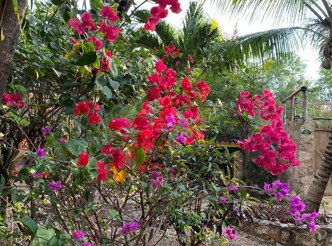 Casa rural Tortugas Akumal
