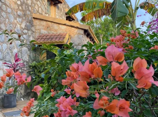 Casa rural Tortugas *