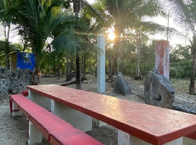 Tortugas Akumal