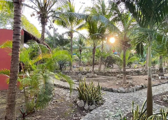 Tortugas Casa rural *
