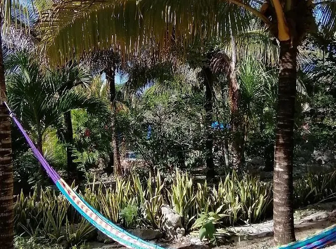 Casa rural Tortugas *