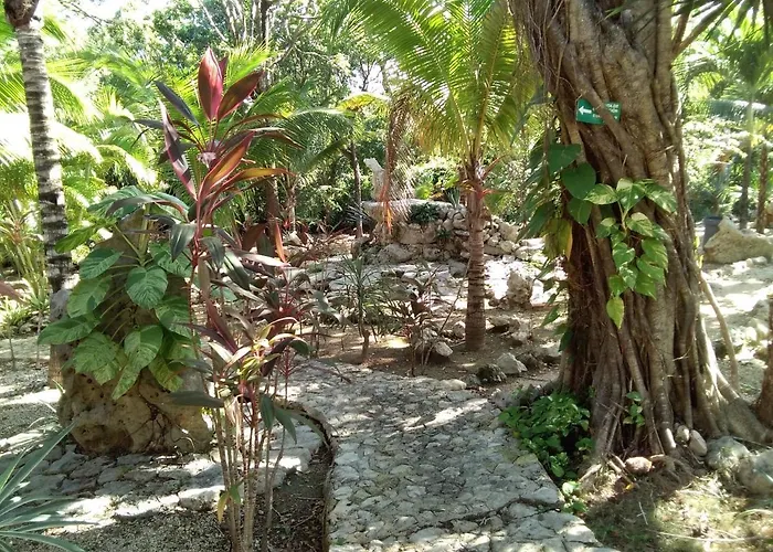 Tortugas * Akumal