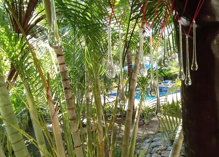 Tortugas * Akumal