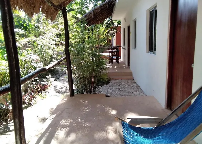 Tortugas Akumal