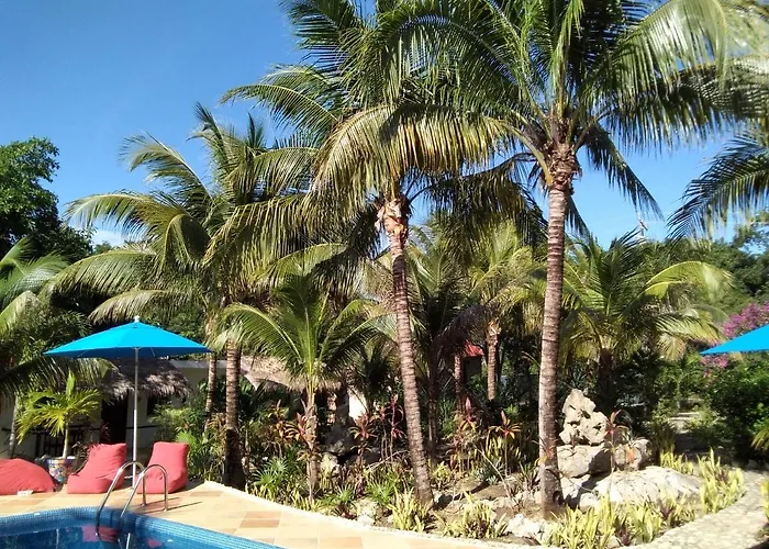 Tortugas * Akumal