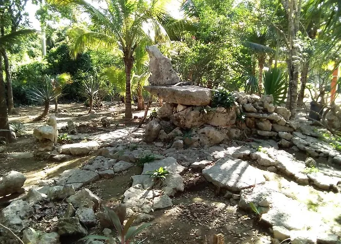 Tortugas Casa rural Akumal