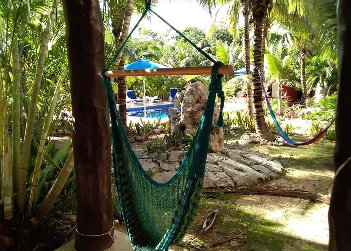 Tortugas