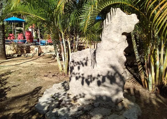 Tortugas Casa rural Akumal