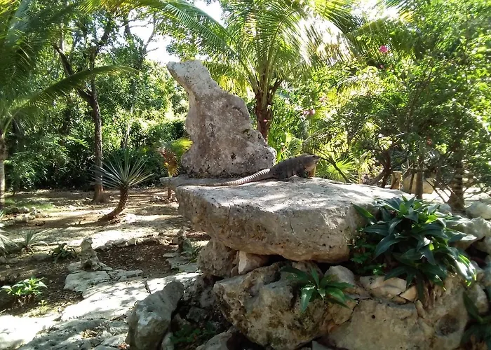 Tortugas